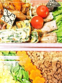 鶏そぼろ弁当-レシピのメイン写真