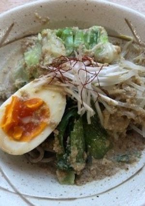 簡単！豆乳まぜそば【ここから栄養士】-レシピのメイン写真