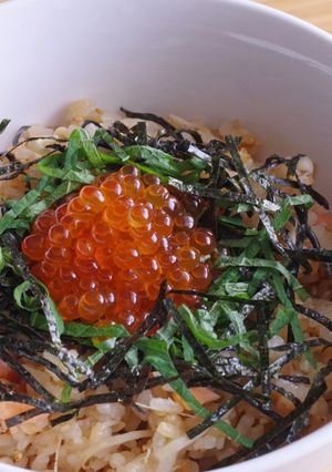 鮭といくらの親子丼-レシピのメイン写真