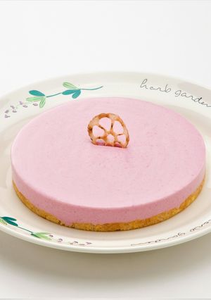レンコンと紫イモのレアチーズケーキ-レシピのメイン写真