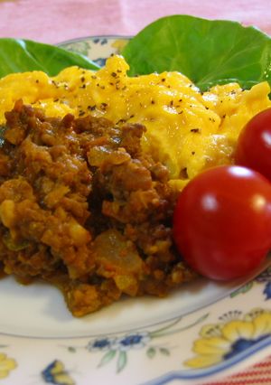 色々使える♪カレー☆ミートソース-レシピのメイン写真
