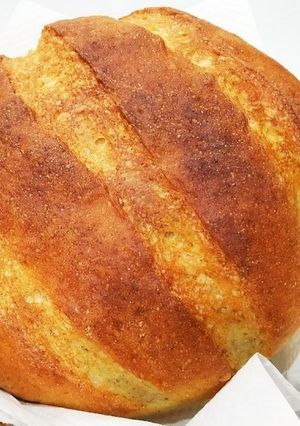 初めてのライ麦(10％)パン-レシピのメイン写真