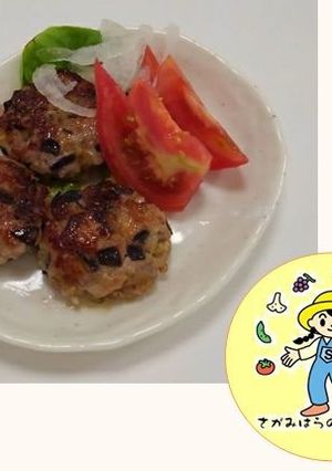 【地場農産物】ナスの味噌ハンバーグ-レシピのメイン写真
