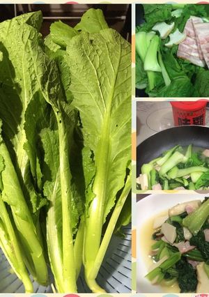 高菜炒め-レシピのメイン写真