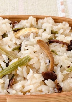 モフでモチモチ♪レンジで出来る山菜おこわ-レシピのメイン写真