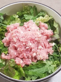 ネギトロ丼とサーモン丼-レシピのメイン写真
