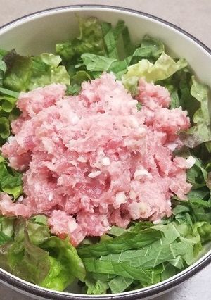 ネギトロ丼とサーモン丼-レシピのメイン写真
