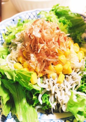 ヘルシージャコサラダ-レシピのメイン写真