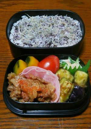 皮に栄養☆レンチン茄子の麺つゆ和え-レシピのメイン写真