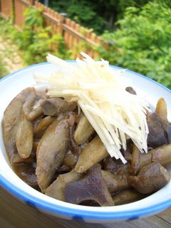 レバーとごぼうの梅煮-レシピのメイン写真