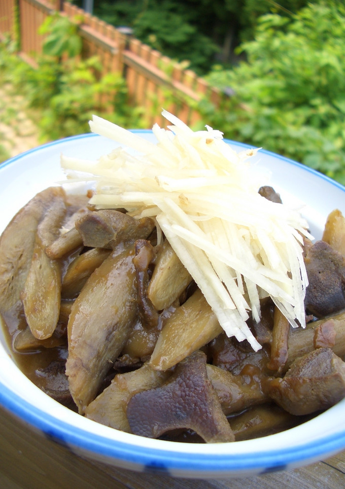 レバーとごぼうの梅煮-レシピのメイン写真