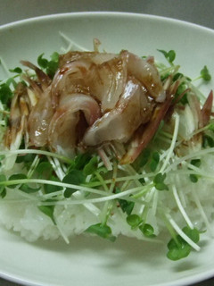 鯛のさっぱり寿司-レシピのメイン写真