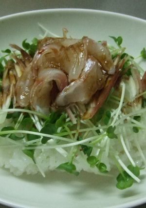 鯛のさっぱり寿司-レシピのメイン写真