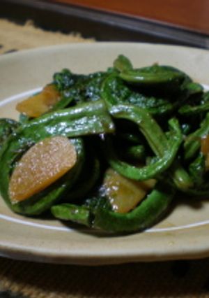 こごみ（山菜）のふくめ煮-レシピのメイン写真