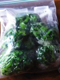 大根菜(冷凍)-レシピのメイン写真