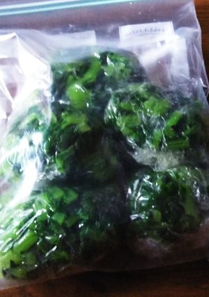 大根菜(冷凍)-レシピのメイン写真