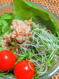 エスニックサラダ-レシピのメイン写真