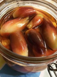 みょうがの甘酢漬け♪ૢ-レシピのメイン写真