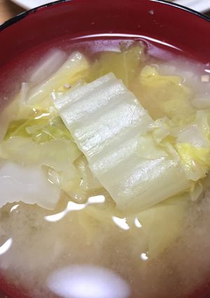 白菜のお味噌汁-レシピのメイン写真