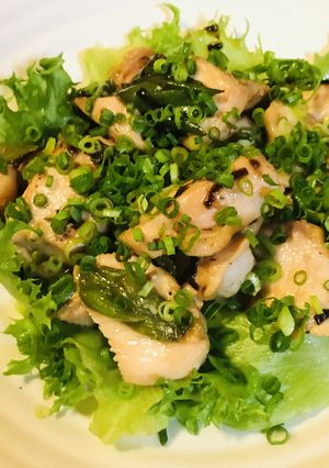 鶏むね肉のネギしょう油焼き-レシピのメイン写真
