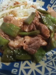 インゲンと豚肉で生姜焼-レシピのメイン写真
