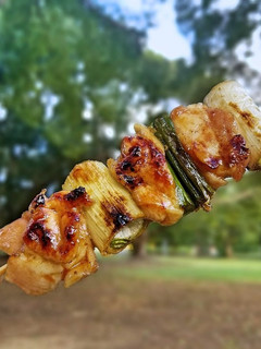 焼き鳥のタレ*キャンプ飯-レシピのメイン写真