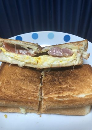 お一人様のホットサンド(食パン2枚版)-レシピのメイン写真