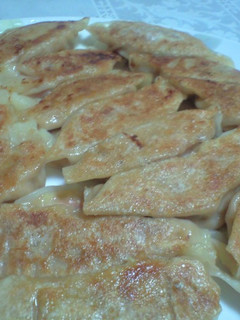 トマトの餃子 ☆-レシピのメイン写真