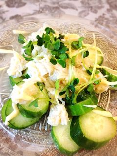 ホタテの缶詰ときゅうりのサラダ-レシピのメイン写真