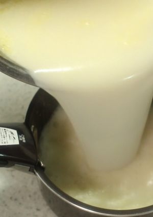 手羽先で白湯スープ♪-レシピのメイン写真