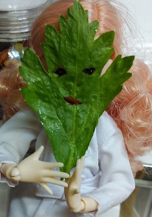 リカちゃん♡ハロウィン？セロリ塩麹浅漬け-レシピのメイン写真