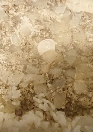 男の簡単鶏肉胡椒飯-レシピのメイン写真