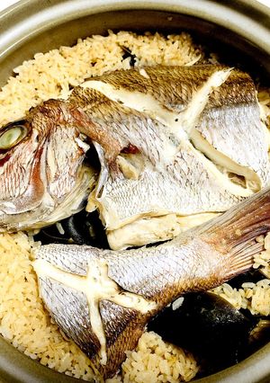 真鯛の土鍋ご飯(鯛めし)-レシピのメイン写真