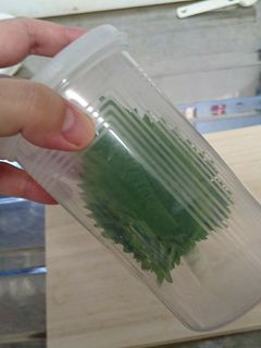 大葉の保存の仕方-レシピのメイン写真
