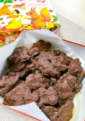 ラムレーズンのチョコレート-レシピのメイン写真