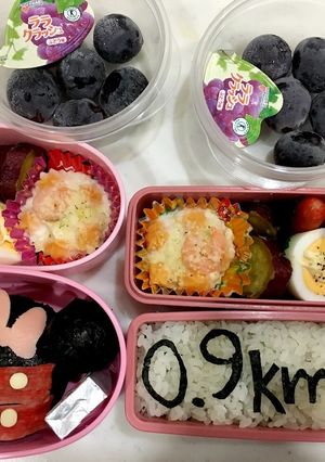 姉妹弁当、遠足予備日-レシピのメイン写真