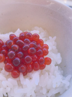堀口家のいくら醤油漬け-レシピのメイン写真