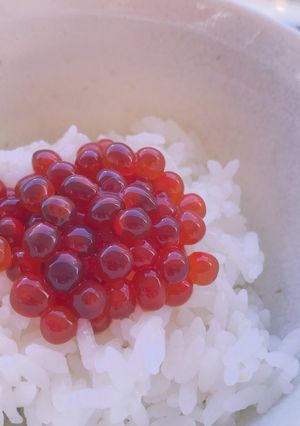 堀口家のいくら醤油漬け-レシピのメイン写真