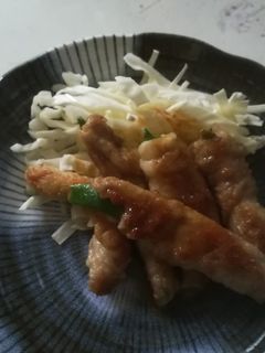 インゲンの豚肉巻き-レシピのメイン写真