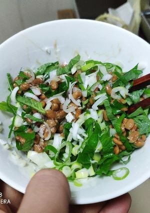 【男飯】紫蘇の葉ネギ納豆-レシピのメイン写真