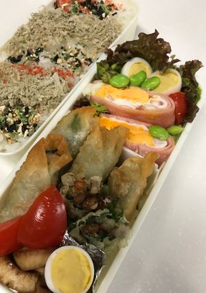 ギョーザの皮で簡単お弁当の春巻き-レシピのメイン写真
