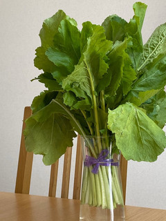 ECO★カブの葉のリフレッシュ方法-レシピのメイン写真