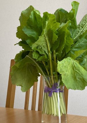ECO★カブの葉のリフレッシュ方法-レシピのメイン写真
