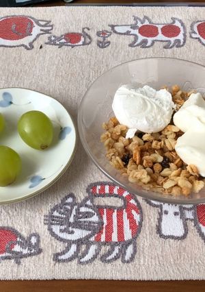 朝食に！　フルグラ　バニラ　ヨーグルト-レシピのメイン写真