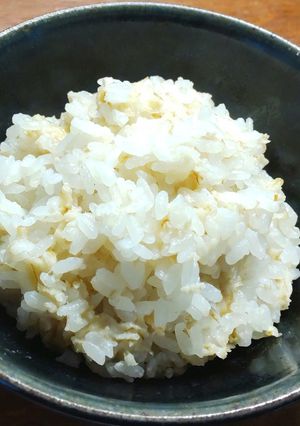 オートミール入りご飯ロールドオーツ-レシピのメイン写真