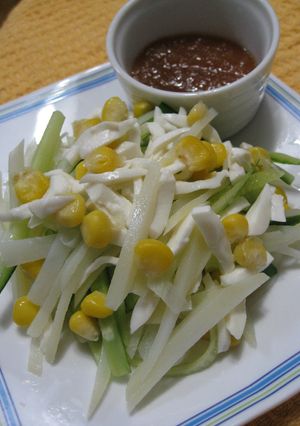 モッツァレラ入り夏野菜しゃきしゃきサラダ-レシピのメイン写真
