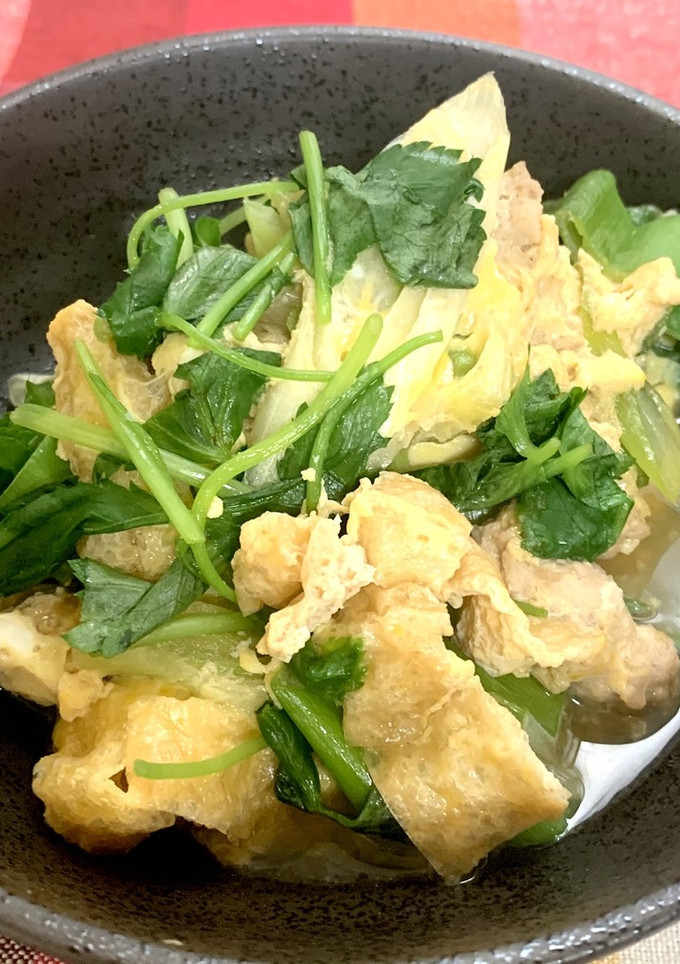 鶏ひき肉と油揚げの卵とじ-レシピのメイン写真