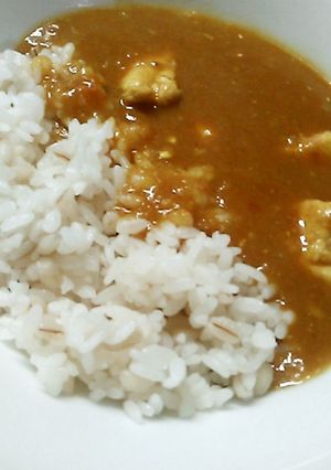 帝国ホテルのカレーレシピ＋私の勝手な追加-レシピのメイン写真