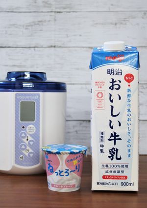 「ねっと～り罪なヨーグルト」でヨーグルト-レシピのメイン写真