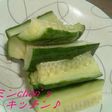 キュウリのビール漬け ~簡単においしく~